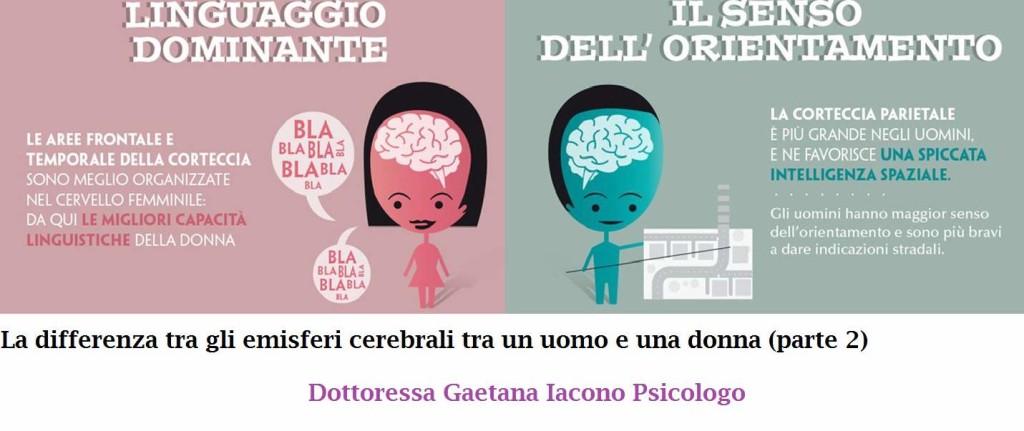 cervello femminile e maschile