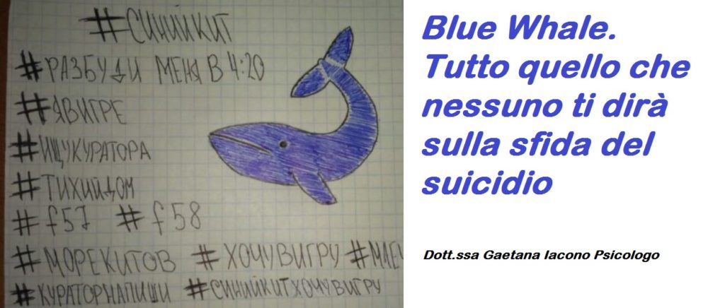 disegno di balena azzurra